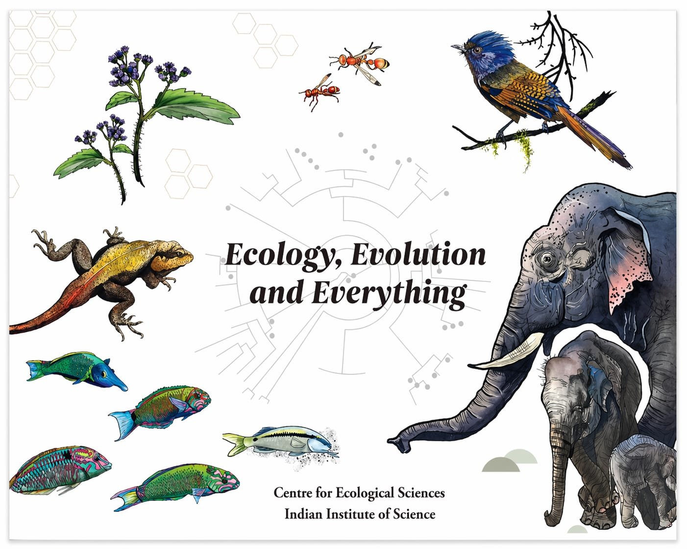 Ecology, Evolution and Everything